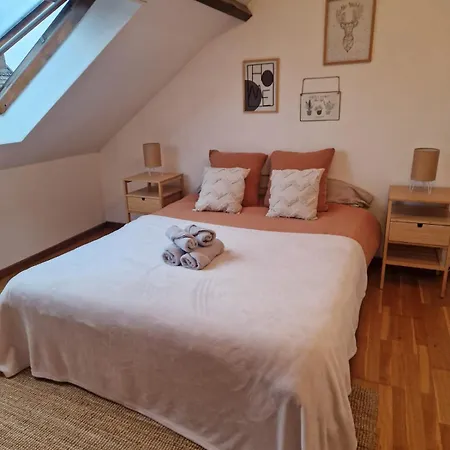 Duplex 40m2 Cocooning Cœur De Avec Parking Appartement *