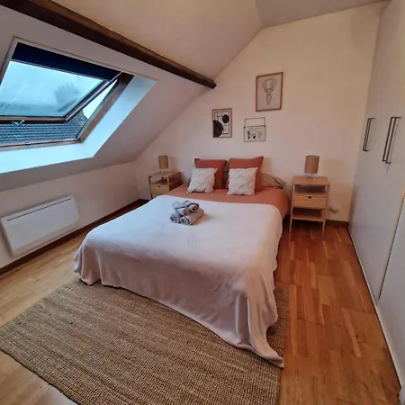 Duplex 40m2 Cocooning Cœur De Avec Parking Appartement